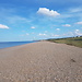 On English Soil ... Seals at Blakeney Point on the North Norfolk