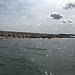 On English Soil ... Seals at Blakeney Point on the North Norfolk