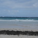 Crane beach