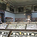 One day is just not enough for the Museum of Natural History (pt
