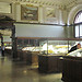 One day is just not enough for the Museum of Natural History (pt