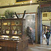 One day is just not enough for the Museum of Natural History (pt