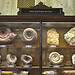 One day is just not enough for the Museum of Natural History (pt