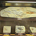 One day is just not enough for the Museum of Natural History (pt