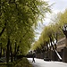 One of the many roads in Lyngby Campus
