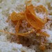 Orange Risotto