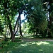 Orto Botanico di Pisa