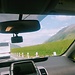 Our trip to Kazbegi _ the beginning
