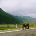 Our trip to Kazbegi _ the beginning
