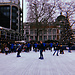 Outdoor Ice Rink and Skating