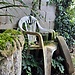 Overgrowth