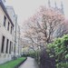 University of Oxford