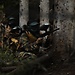 Paintball