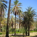 Palermo