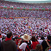 Pamplona e la sua grande varietà