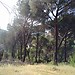 Pantano - Plaża San Juan