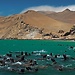 Paracas la reserva marina de tesoros