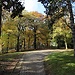 Parc de Cointe (promenade)