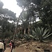 Park Güell
