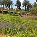 Park Güell - unmissable!