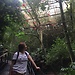 Parque de aves