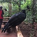 Parque de aves