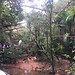 Parque de aves