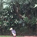 Parque de aves