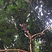 Parque de aves