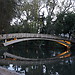 Parque da Macaca