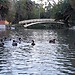Parque da Macaca