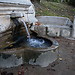 Parque da Macaca