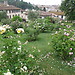 Perfect view of Firenze with roses and art