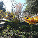 Le jardin de Calixto et Melibea