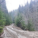 Piatra Craiului - Piatra Mica i miejsca kempingowe
