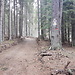 Piatra Craiului - Piatra Mica i miejsca kempingowe