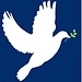 Pigeon - The Symbol of PEACE