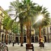 Placa Reial.