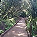 Places to see in Tenerife