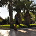 Plaja Marina D'or