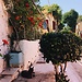 Plaka