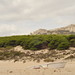 Playa de Tarifa