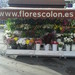 Plaza de Colón