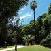 Plaza en Recoleta