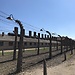 Polonia. Día 3: Auschwitz, ¡los pelos de punta!