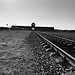 Polonia. Día 3: Auschwitz, ¡los pelos de punta!