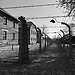 Krakow