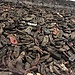Polonia. Día 3: Auschwitz, ¡los pelos de punta!