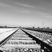 Polonia. Día 3: Auschwitz, ¡los pelos de punta!
