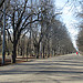 Prater
